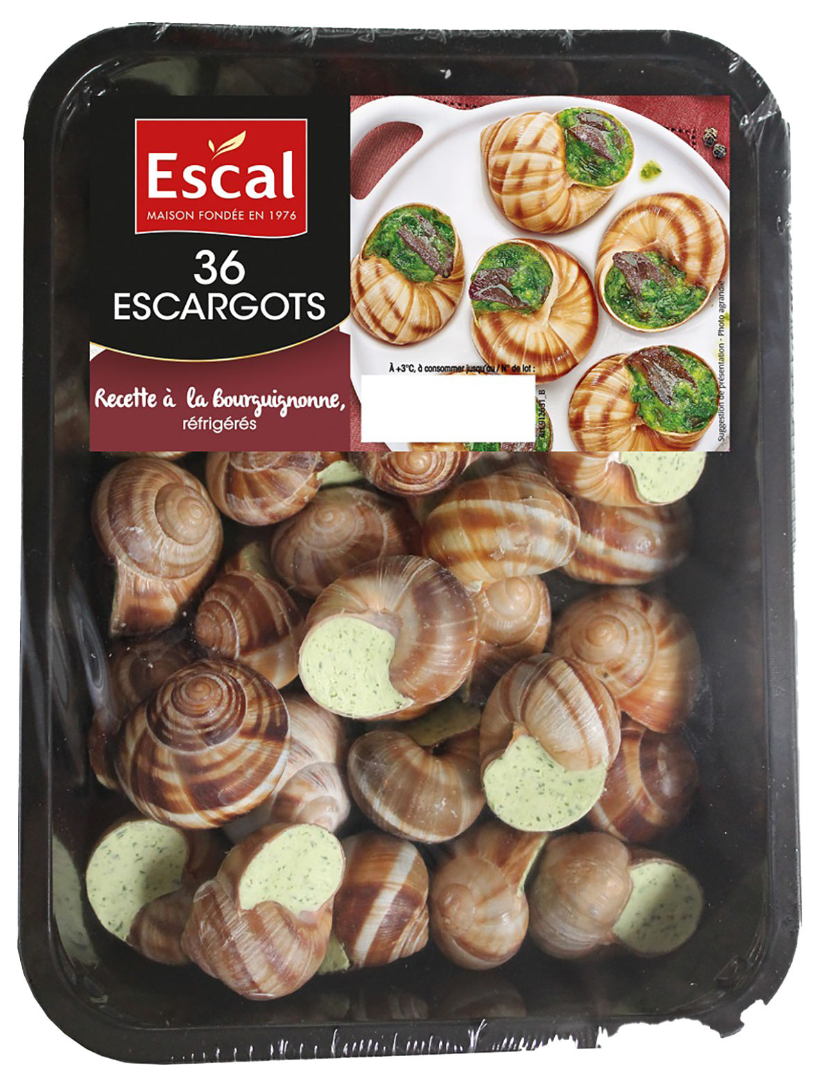 ESCARGOTS CALIBRE MOYEN