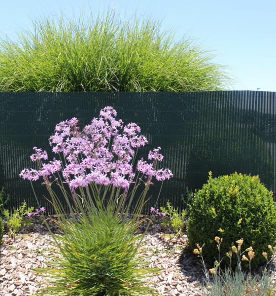  Canisse Simple Face Vert 1 X 3 M  code EAN 3261230700109 