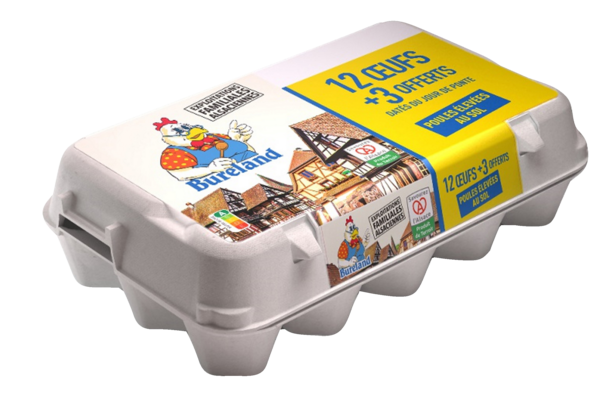 ŒUFS FRAIS MOYENS-GROS DATÉS DU JOUR DE PONTE D...