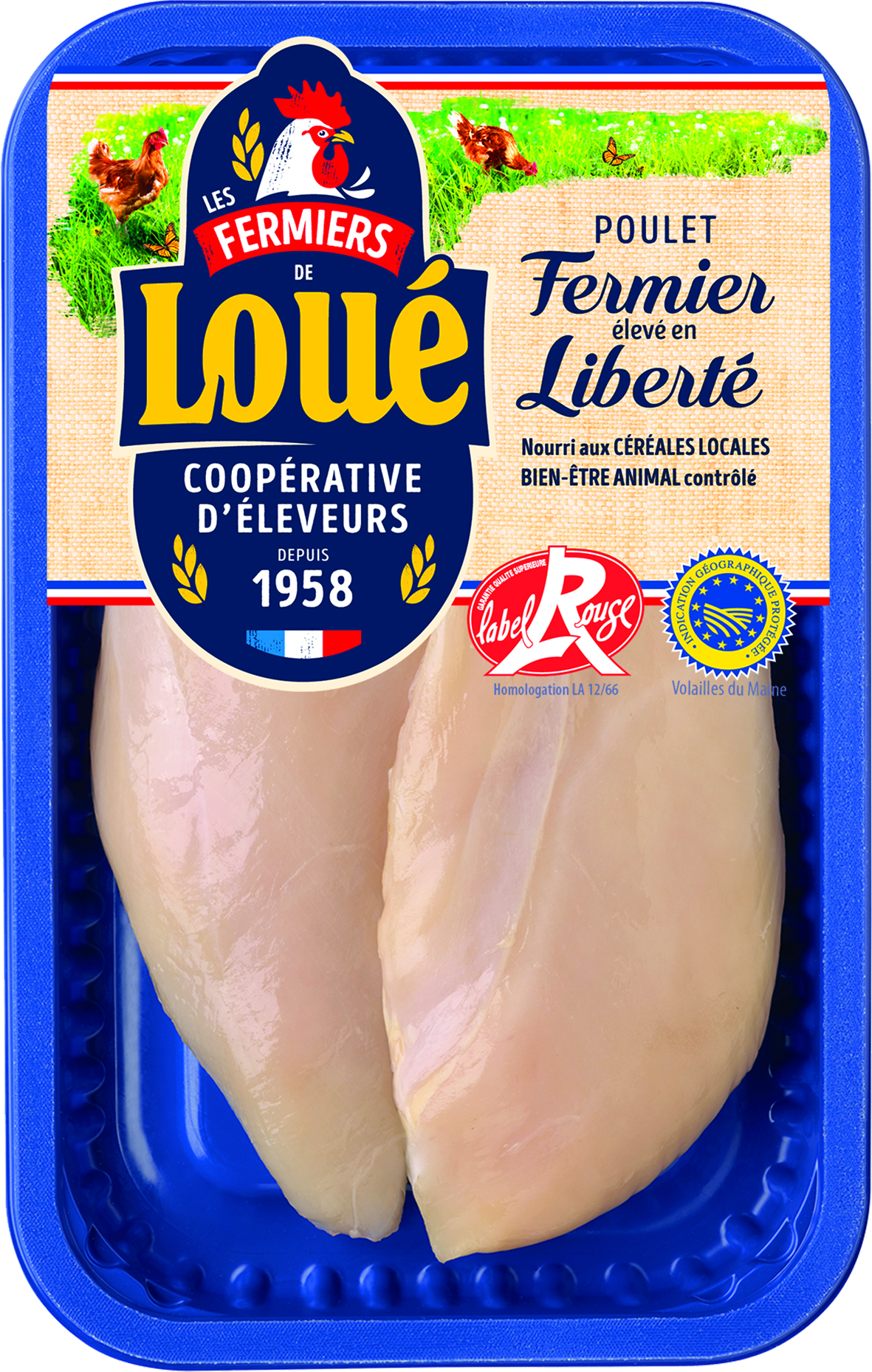 FILETS DE POULET LABEL ROUGE IGP