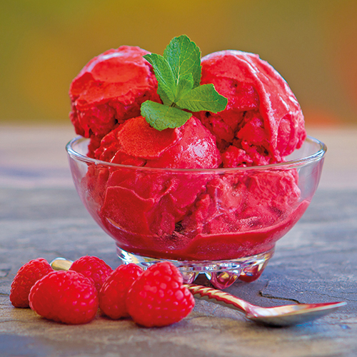 LA FERME DE LA PLANQUE CRÈME GLACÉE OU SORBET code EAN 3269863 