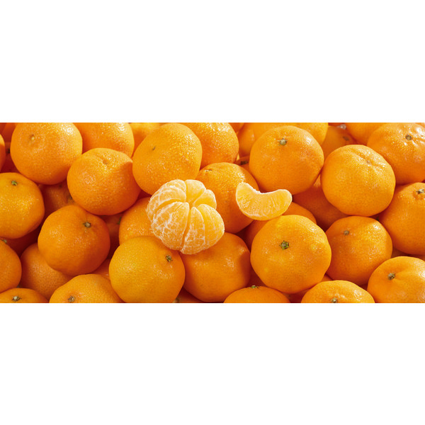 Clémentines Bio 3270190215103 (3270190215103)