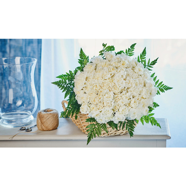 Bouquet de 80 œillets blancs