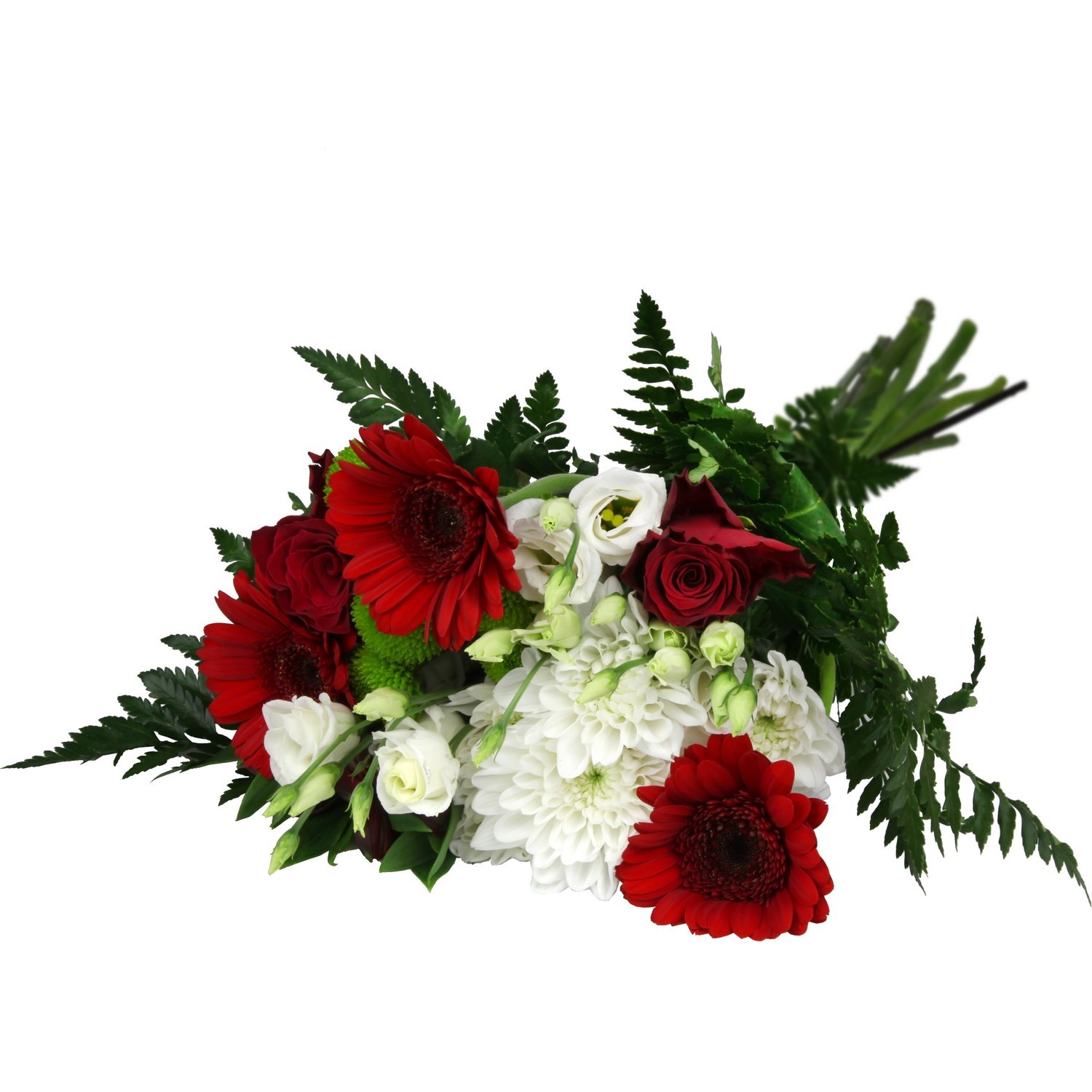 Fleurs Kea coloris assortis 