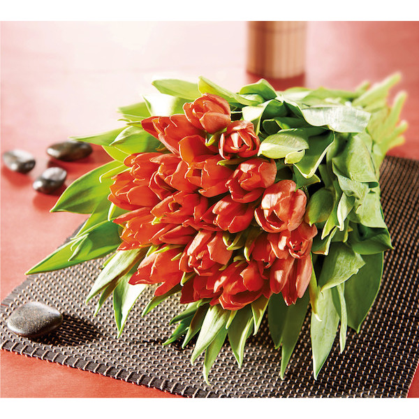 BOUQUET 10 TULIPES 3270190819769 (3270190819769)