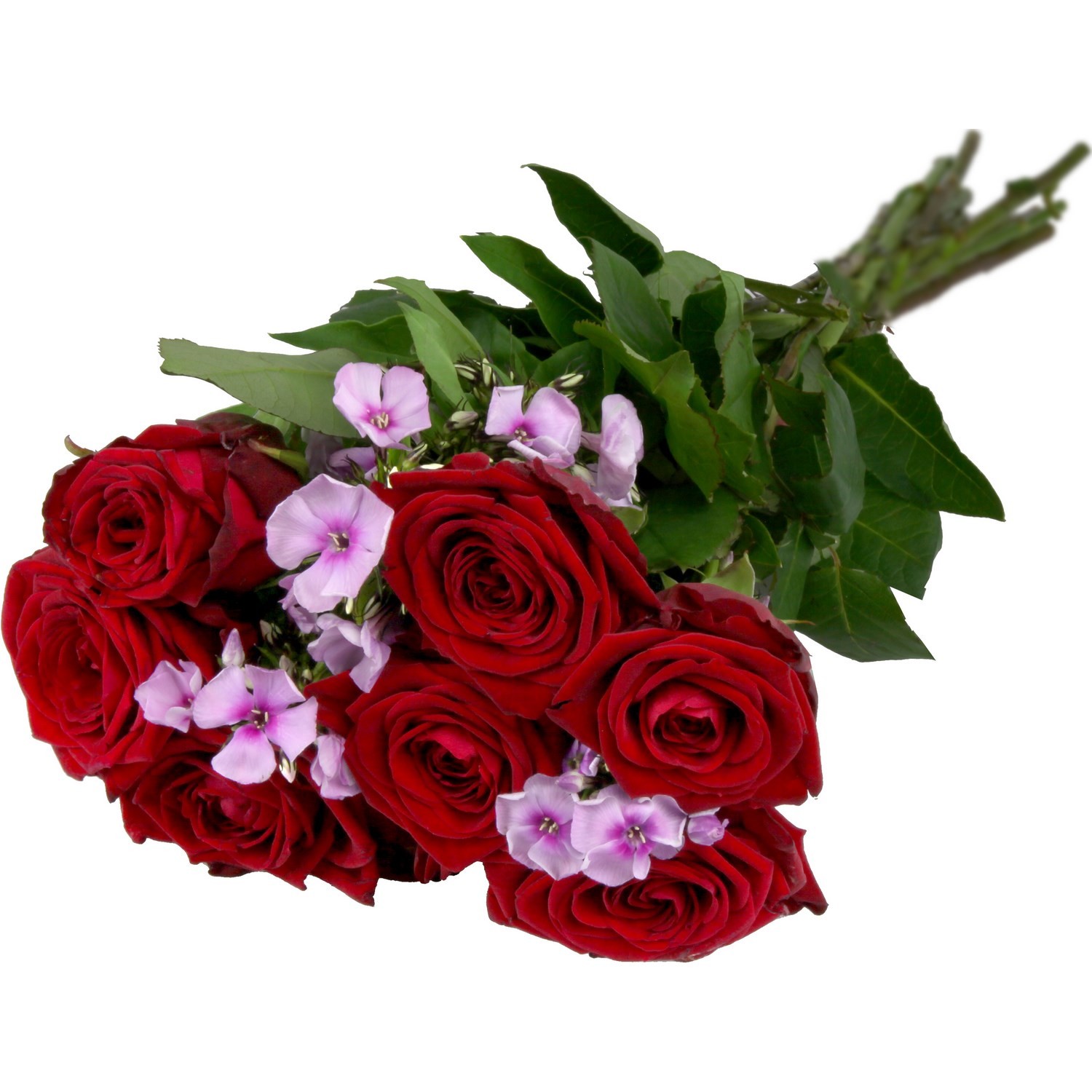 Fleurs Bouquet rose Phlox CARREFOUR