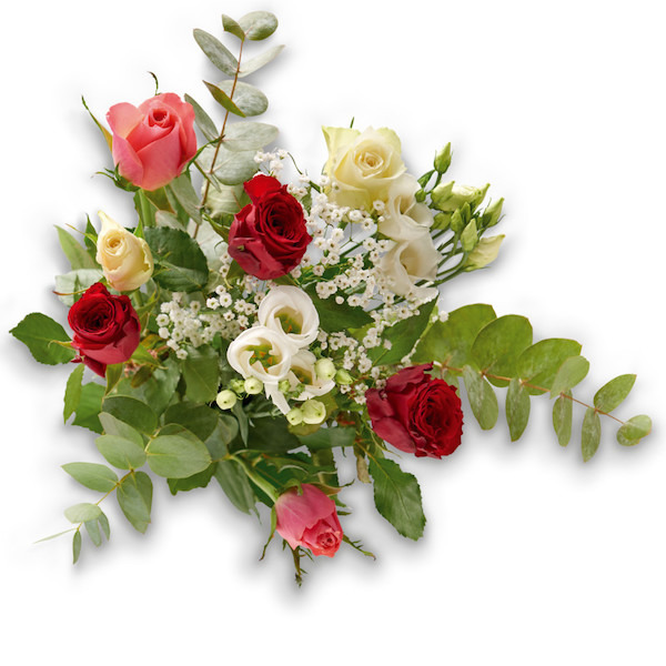  Bouquet Caresse rouge  code EAN 3270190829508 
