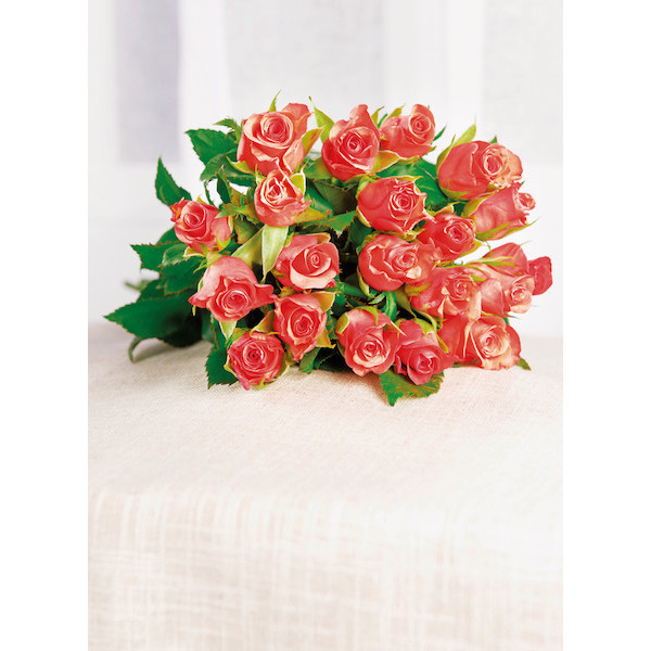BOUQUET DE 20 ROSES 3270190837442 (3270190837442)