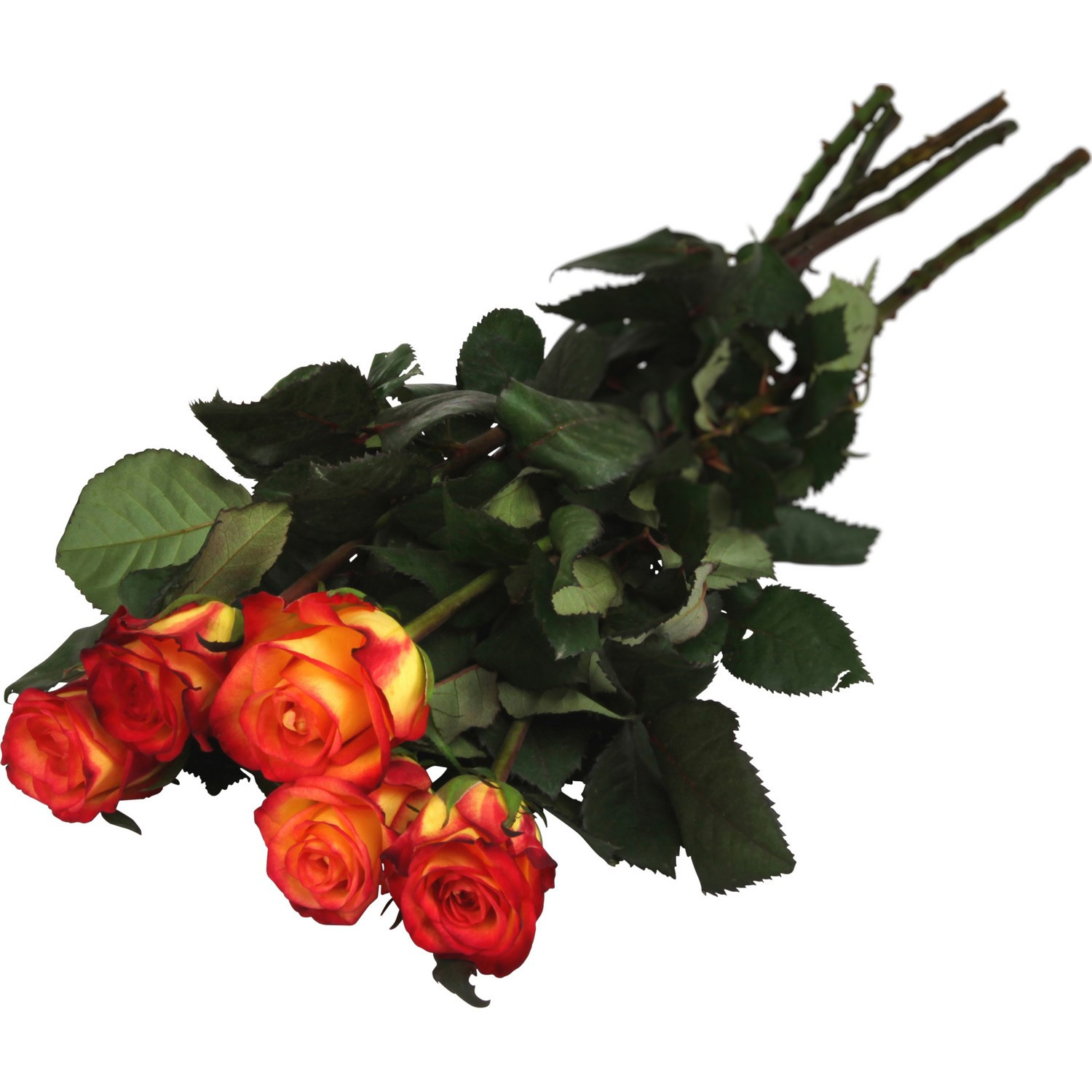 Fleurs Roses 60 cm coloris assortis CARREFOUR