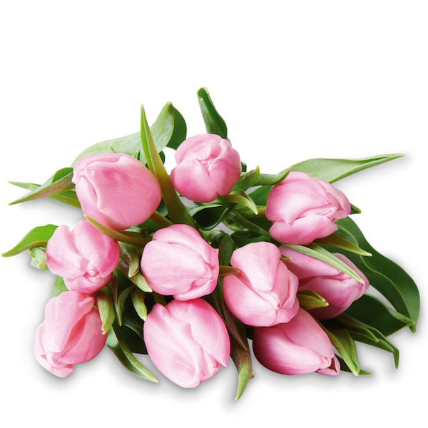 Bouquet de 10 tulipes 3270190852704 (3270190852704)