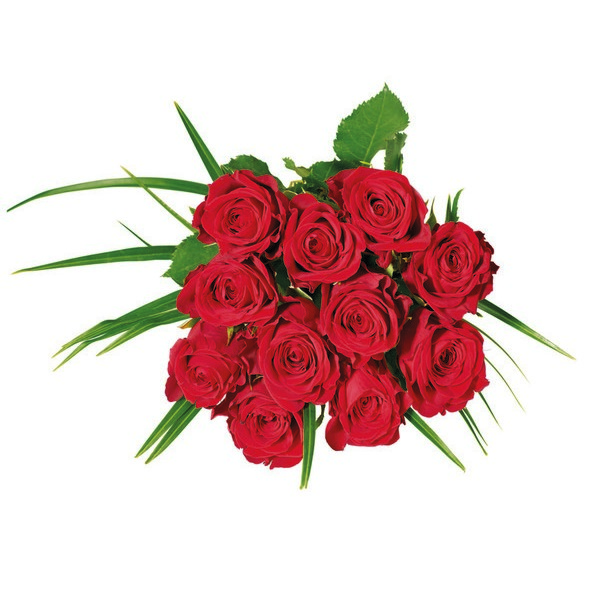 BOUQUET TÉLÉTHON 11 ROSES 3270190854289 (3270190854289)
