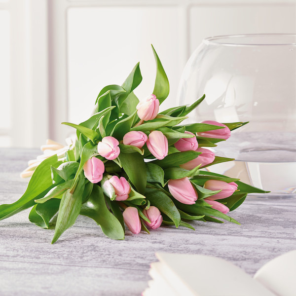 Bouquet de 15 tulipes 3270190855392 (3270190855392)