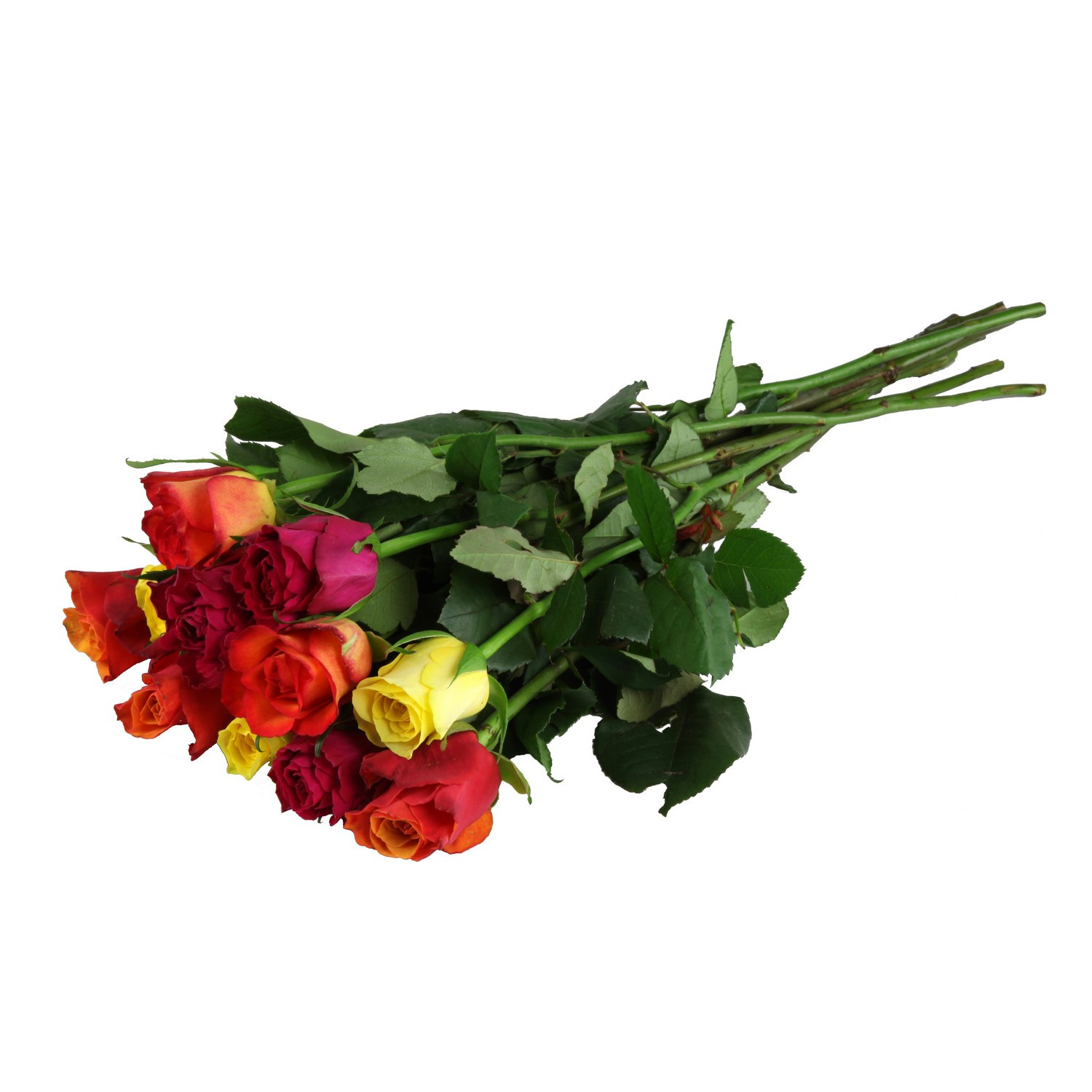 Roses variées ton chaud CARREFOUR