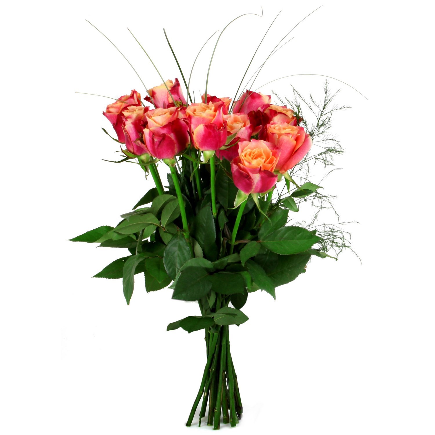 Fleurs Roses 50 cm coloris assortis CARREFOUR