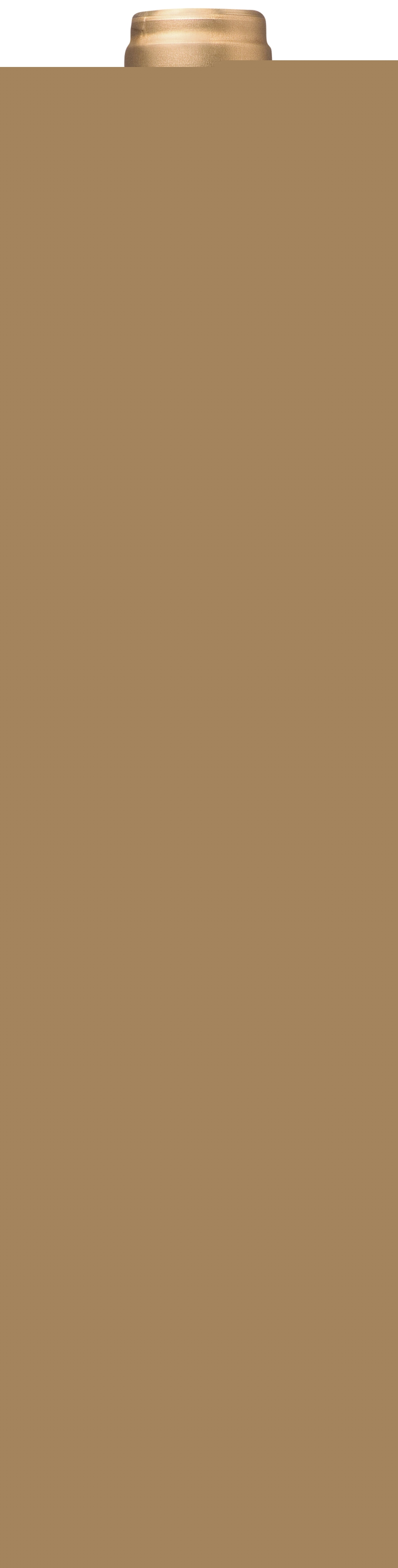 A.O.P. Madiran rouge 2015 Carte d'Or 3270250379363 Carte d'Or A.O.P. Madiran rouge 2015 Carte d'Or 3270250379363 Carte d'Or