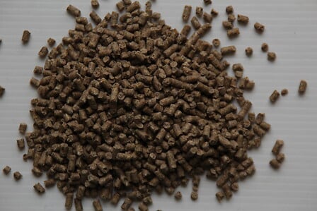 FERMETTE FERMETTE Aliment pour poule pondeuse - 25kg code EAN 3271764380999 