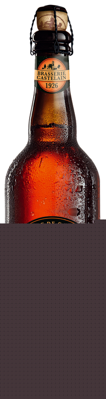 CHTI BIERE AMBREE CHTI 3272460120285 (3272460120285)