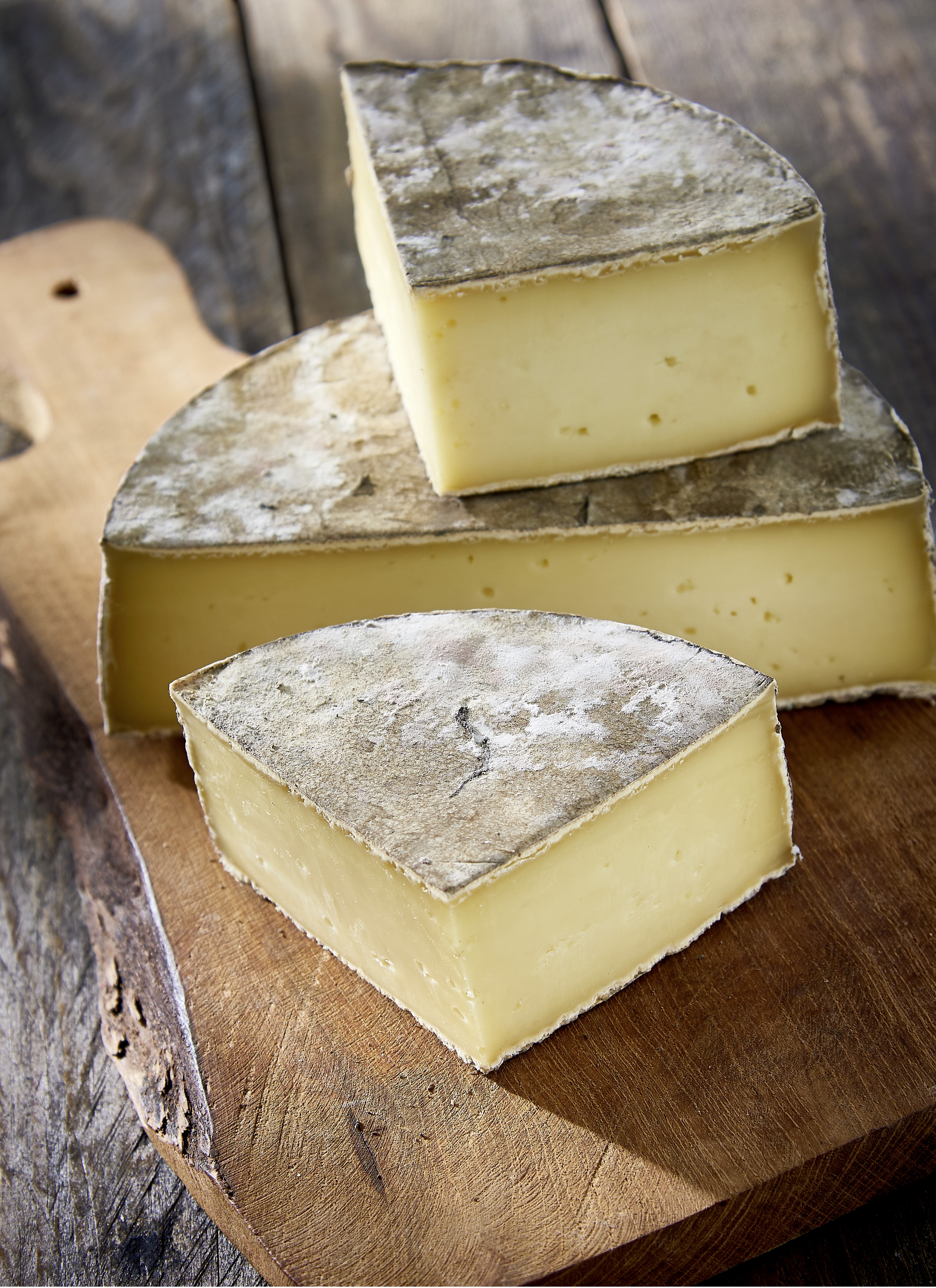 Terrier Tomme des 2 contrées Terrier code EAN 3276264311115 