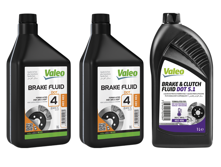 VALEO (1)