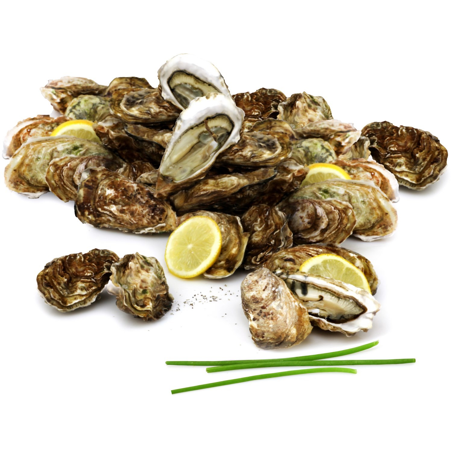 Huîtres Normandie Ouest n°3 FILIERE QUALITE CAR...