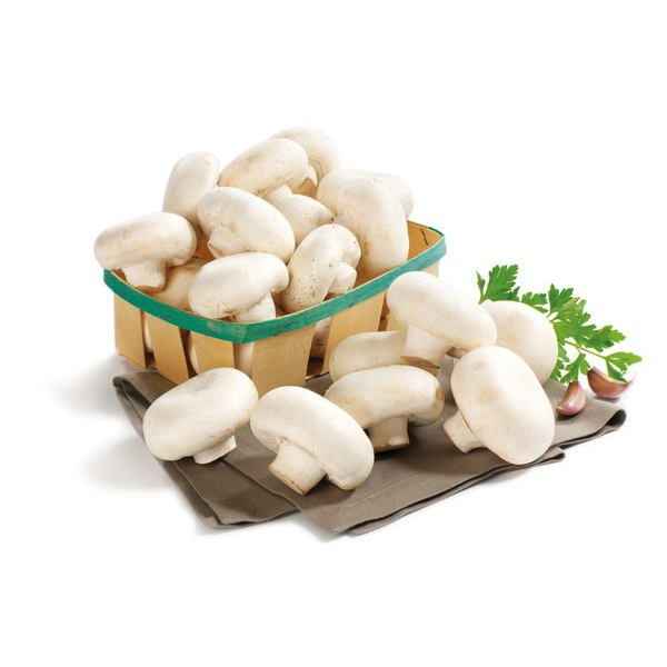 CHAMPIGNONS DE PARIS BLANCS OU BRUNS BIO* 3276550136941 (3276550136941)