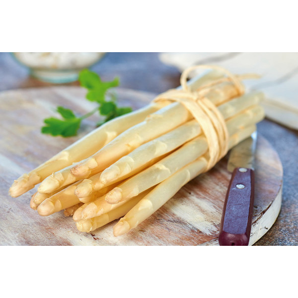 Asperge blanche REFLETS DE FRANCE 3276550279754 (3276550279754)