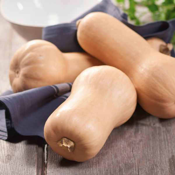  Butternut ou Potimarron code EAN 3276550308621 