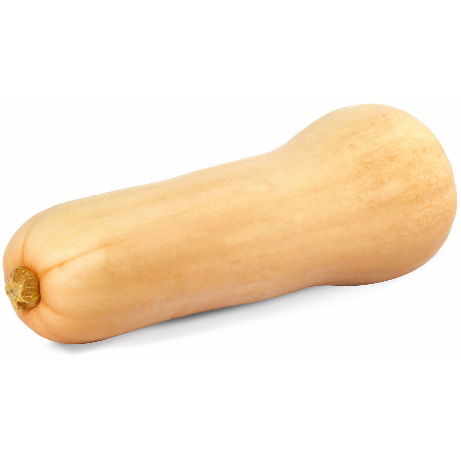  Courge butternut   code EAN 3276550315049 