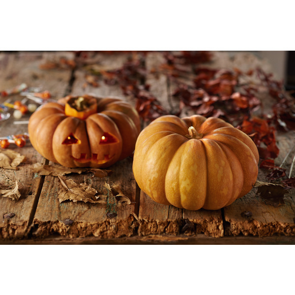 Courge décorative "Jack O Lantern" 3276550315100 (3276550315100)