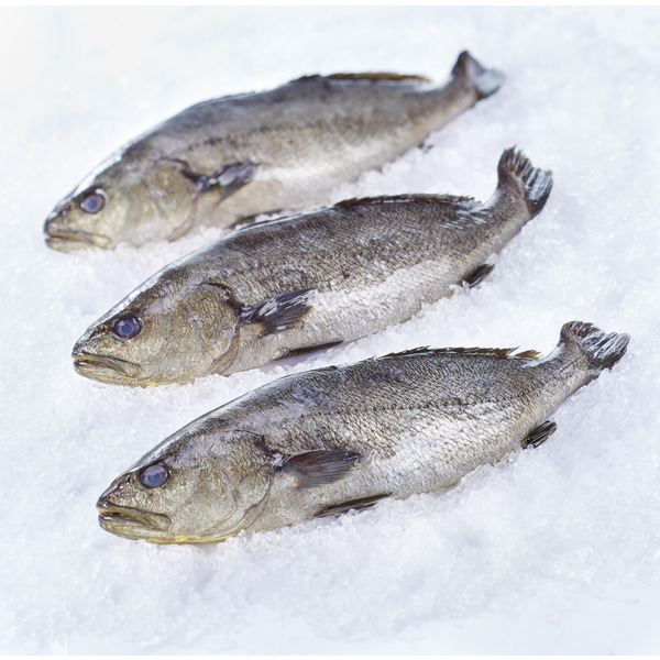  Maigre d'élevage code EAN 3276551806270 