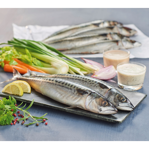  Maquereau code EAN 3276551806331 