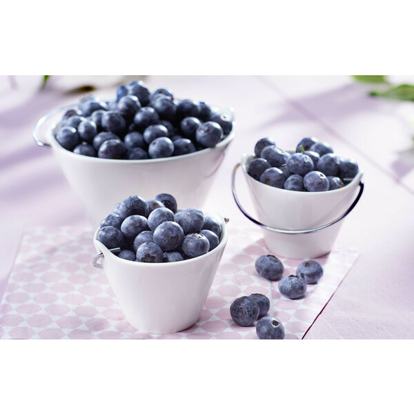 Myrtille 3276552293017 