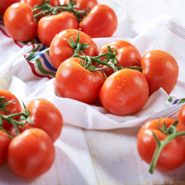  Tomate grappe code EAN 3276552413064 