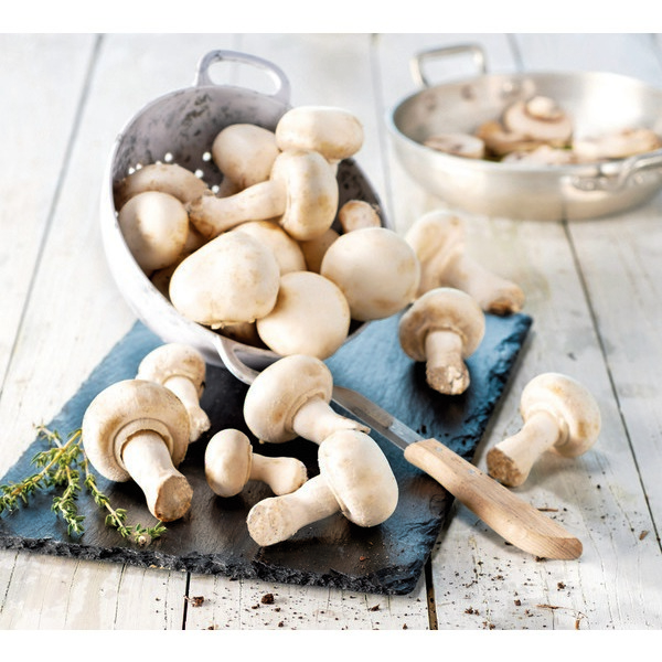 CHAMPIGNONS BLANCS DE PARIS CARREFOUR 3276552647391 (3276552647391)