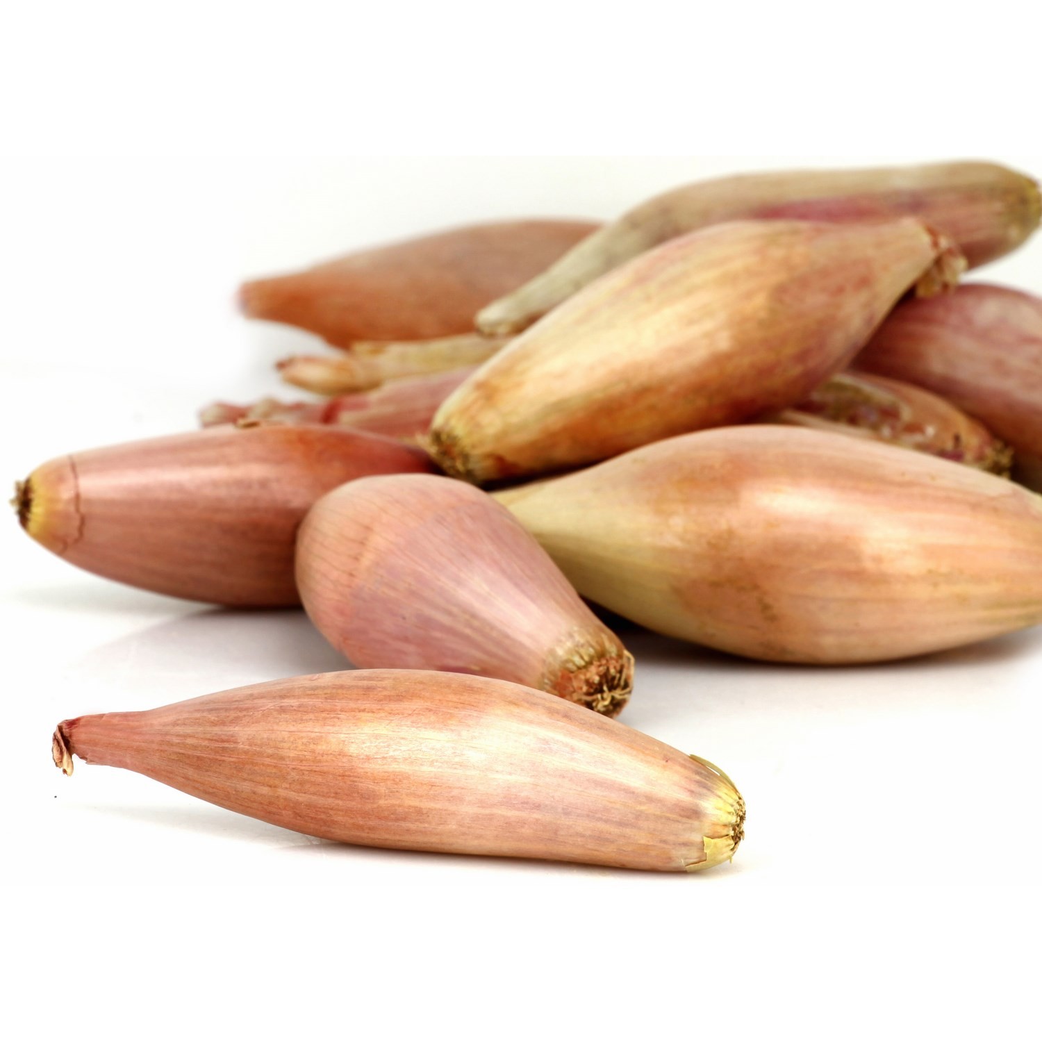 Echalotes bio 1/2 longues traditionnelles CARRE...