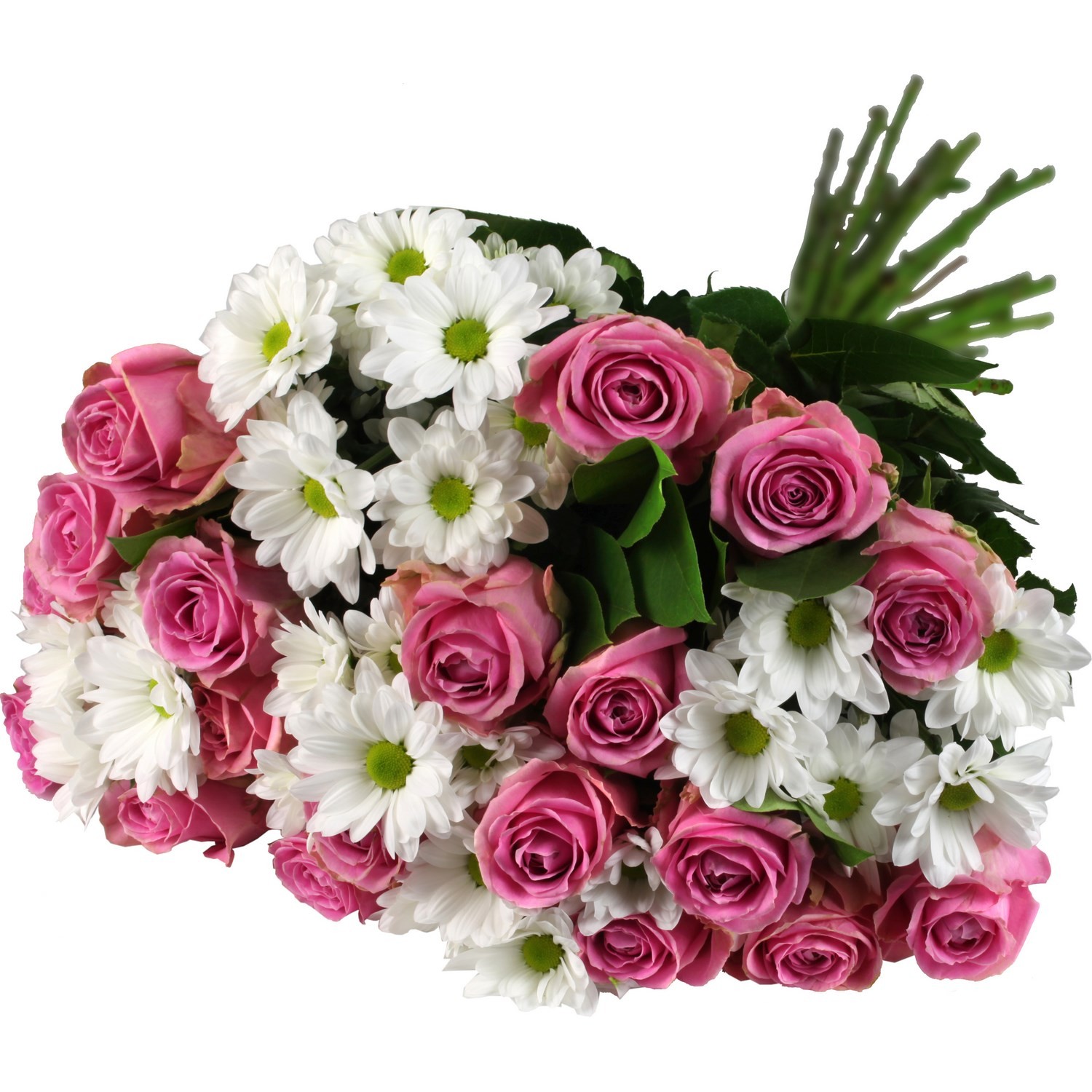 Fleurs bouquet Aube rose  3276553691508 REF SANS MARQUE(MDD)