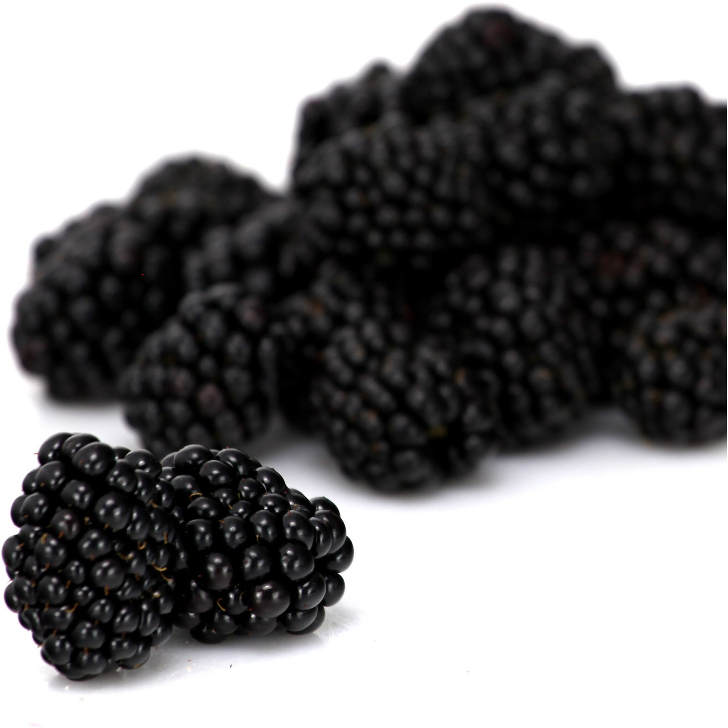  Mûres   code EAN 3276554564573 