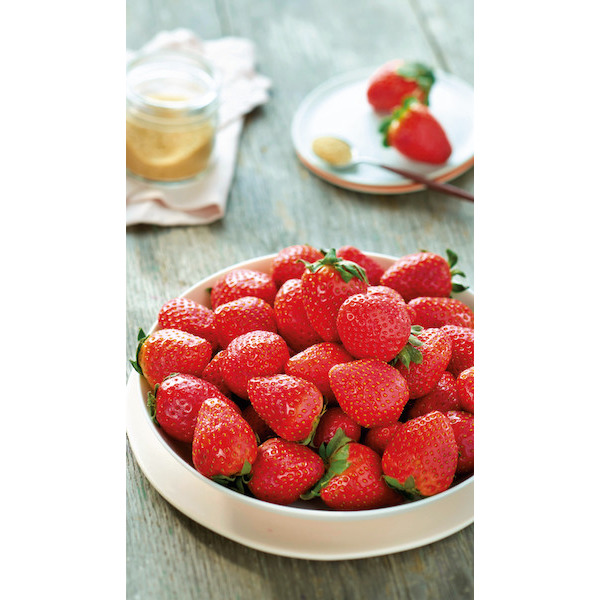 FRAISE RONDE 3276554567963 (3276554567963)
