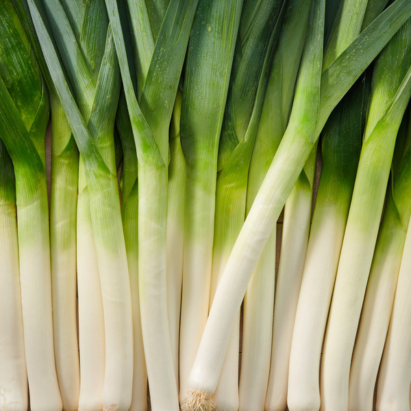  Poireau code EAN 3276554571991 