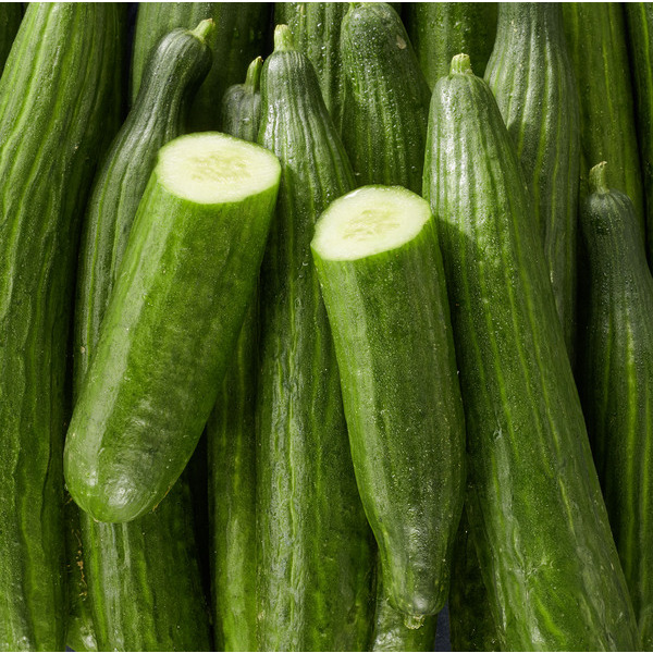 Concombre  3276554576576 