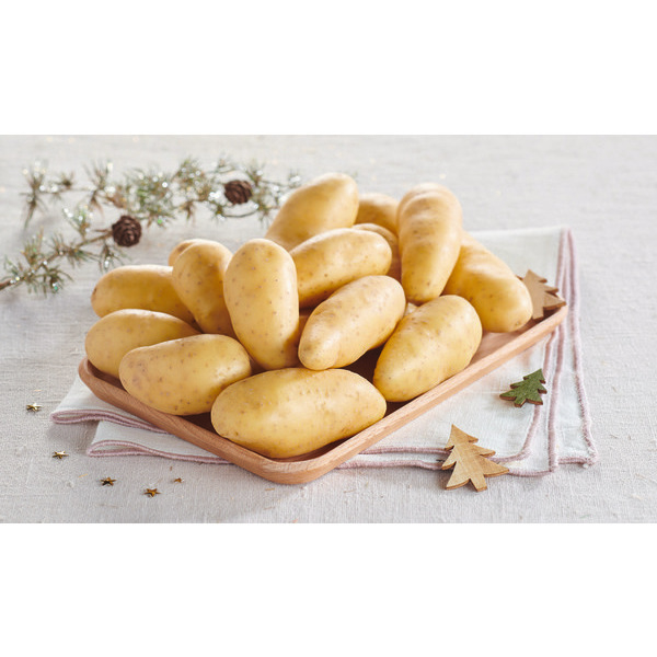 Pomme de terre de consommation à chair ferme Ra...