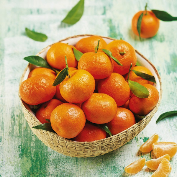  CLÉMENTINES DE CORSE REFLETS DE FRANCE code EAN 3276555374065 