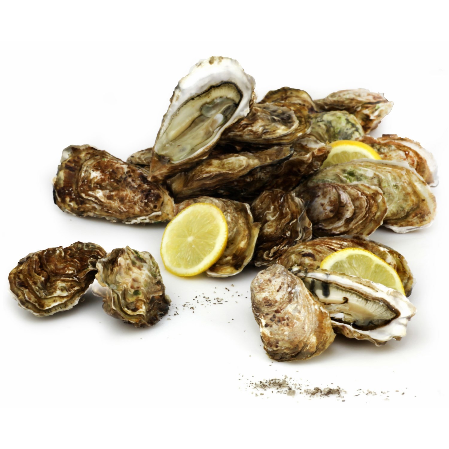 Huîtres fines Bretagne FILIERE QUALITE CARREFOUR