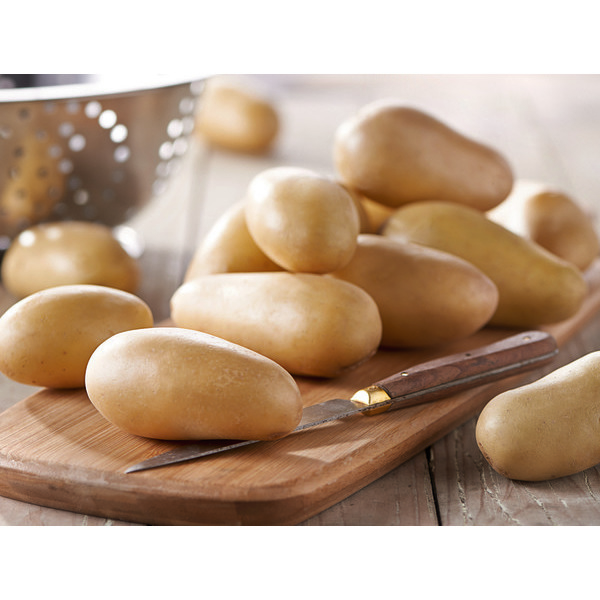 Pommes de terre de consommation FILIÈRE QUALITÉ...