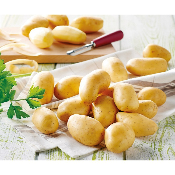  POMMES DE TERRE BLANCHES DE CONSOMMATION FILIÈRE QUALITÉ CARREFOUR code EAN 3276556277075 