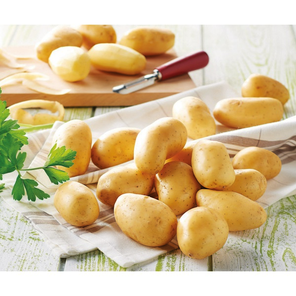  POMMES DE TERRE BLANCHES DE CONSOMMATION FILIÈRE QUALITÉ CARREFOUR code EAN 3276557998009 