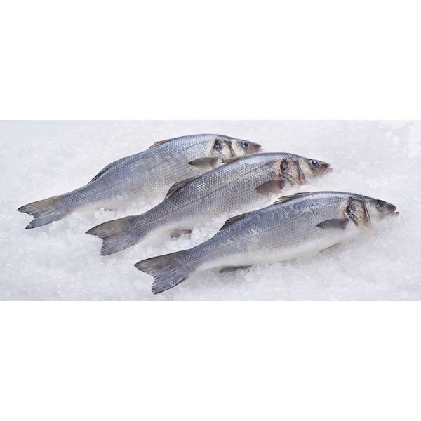 Bar d'élevage Bio 3276558898971 