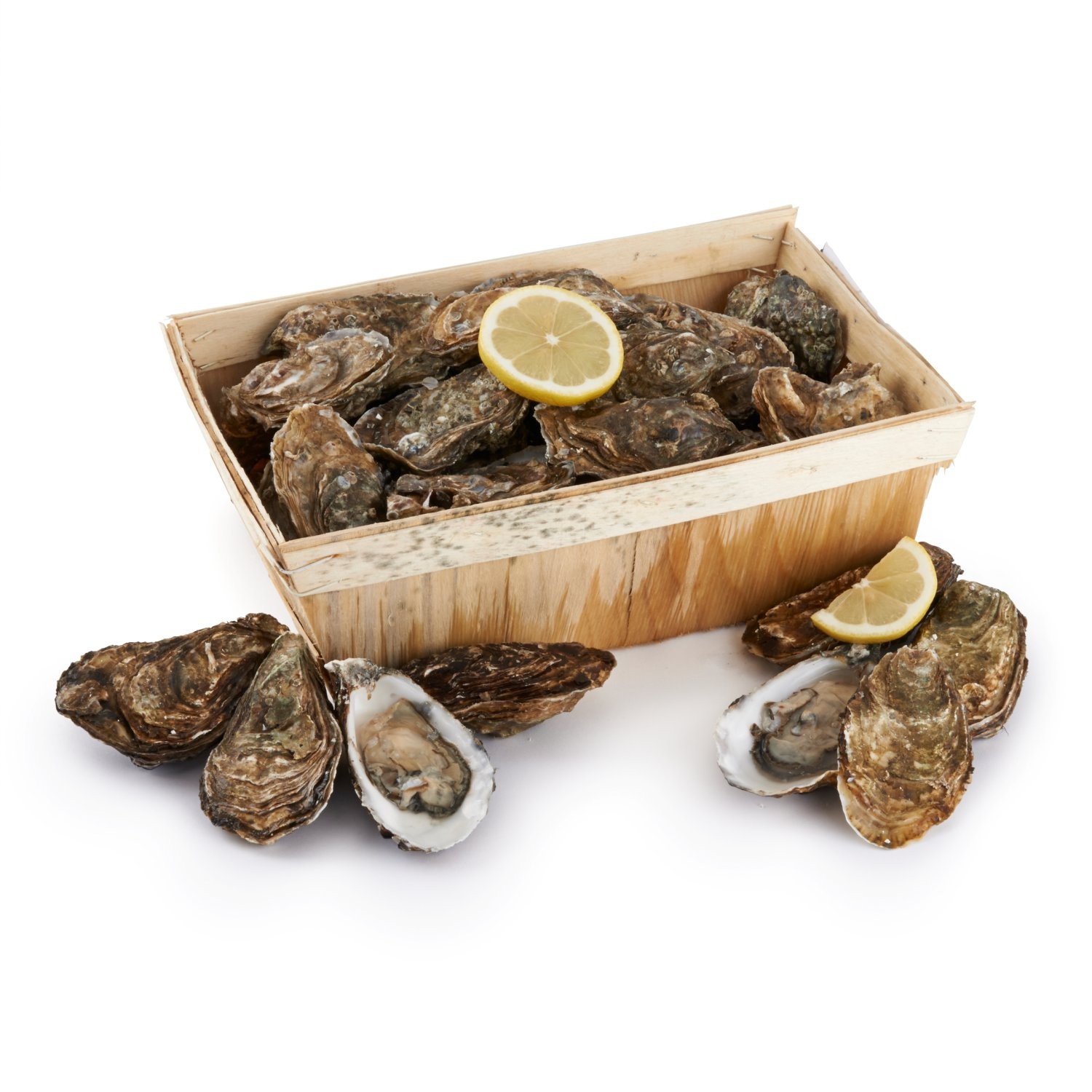 Huîtres spéciales de Bretagne FILIERE QUALITE C...