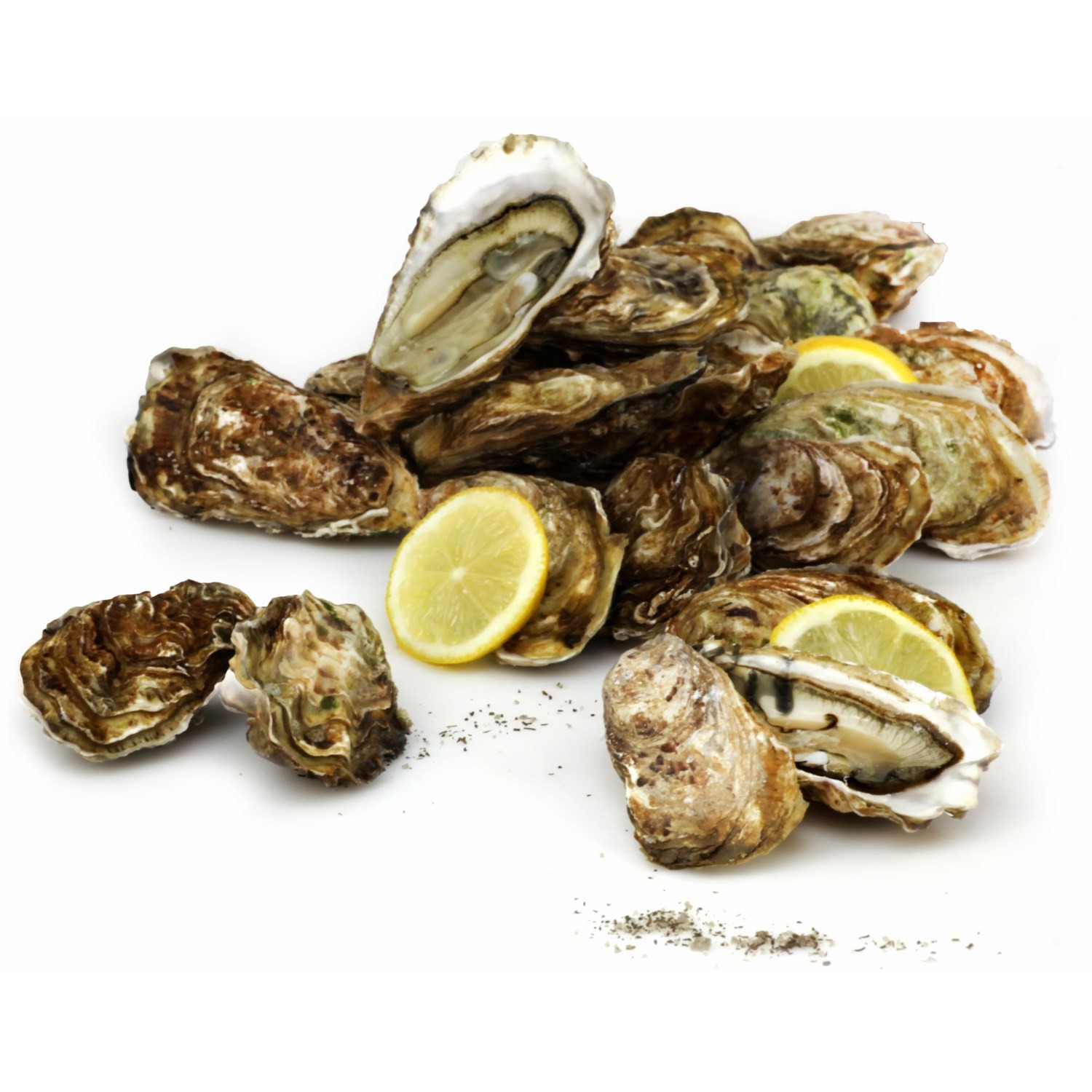 Huîtres fines de claires Marennes Oléron N°3 FI...