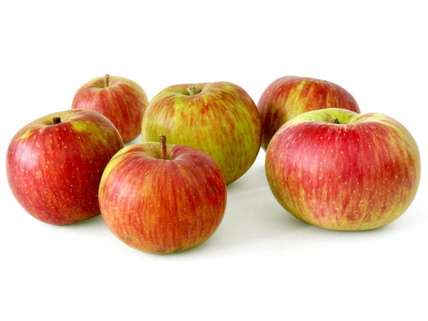  Pommes Bio code EAN 3277840026874 